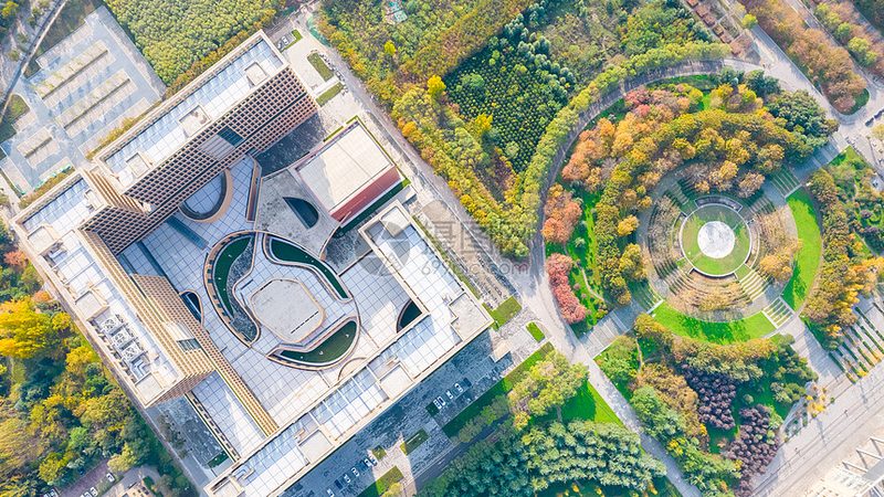 电子模块代理：价格背后的考量因素**